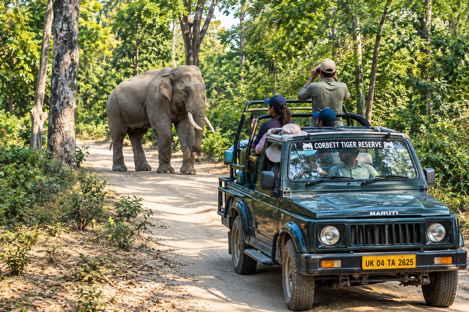 How to book a Jim Corbett safari permit without getting it wrong